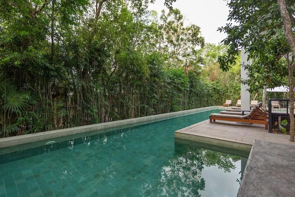 Stunning 4Br - Rooftop Pool, 5 Mins To Beach 图卢姆